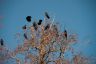 P1030041zRAW2.jpg
