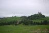 P1010521.jpg