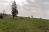 P1030922zRAWb.jpg