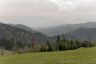 P1030932zRAWb.jpg