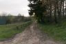 P1040115zRAW.jpg